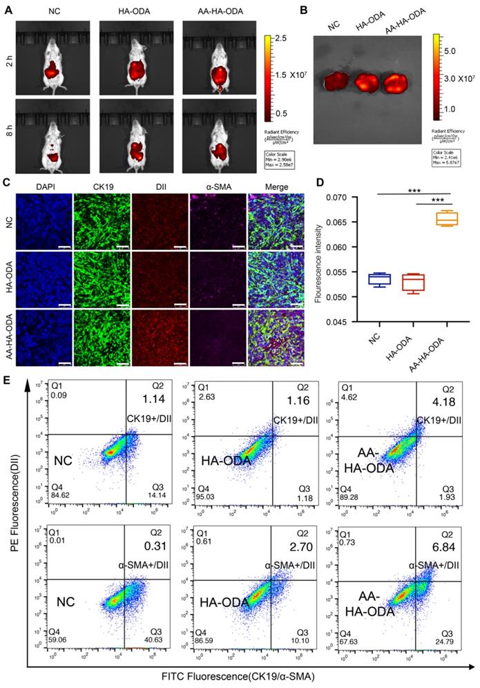 Theranostics Image