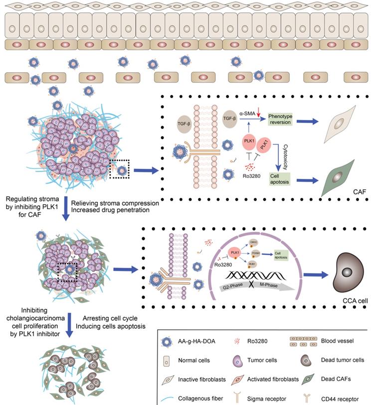 Theranostics Image