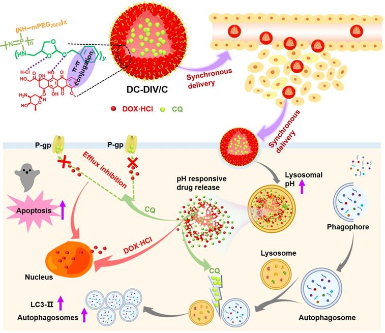 Theranostics Image