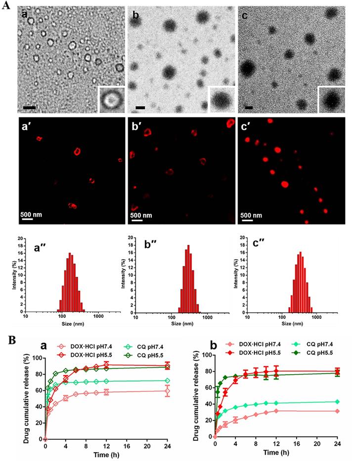 Theranostics Image