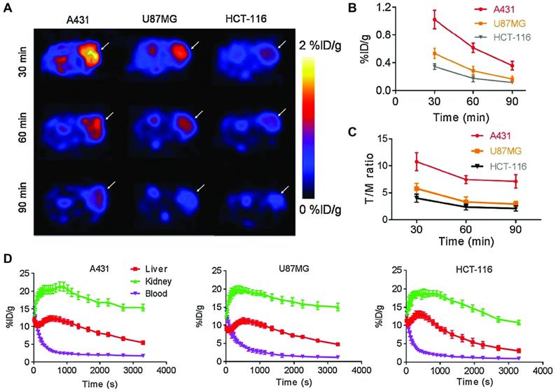 Theranostics Image