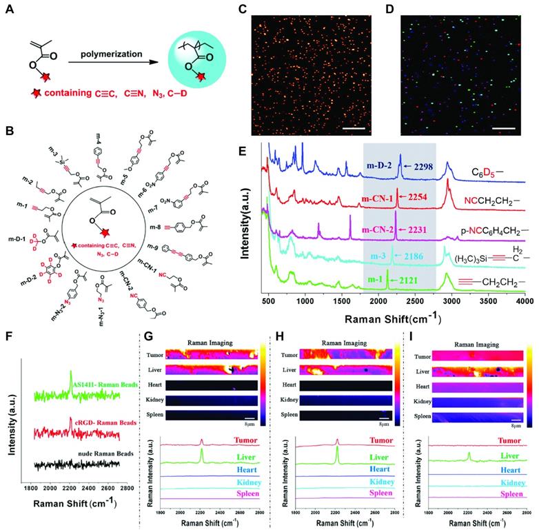 Theranostics Image