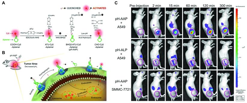 Theranostics Image