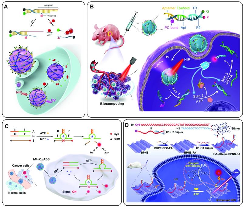 Theranostics Image