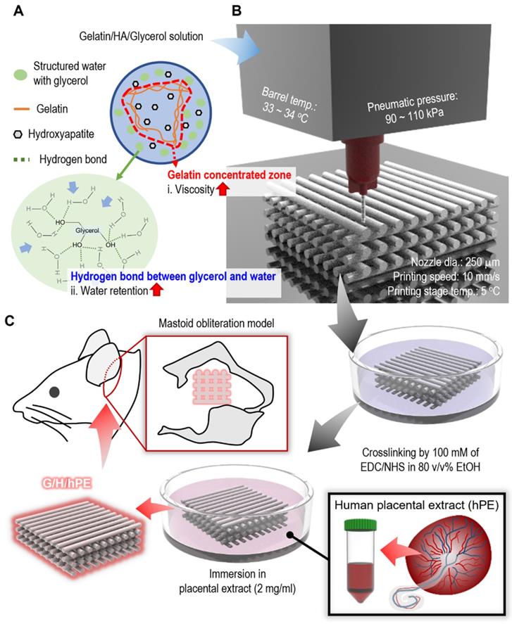 Theranostics Image