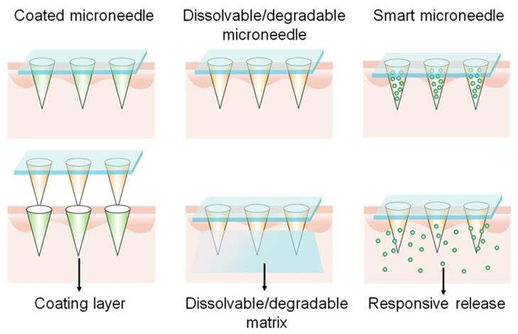 Theranostics Image