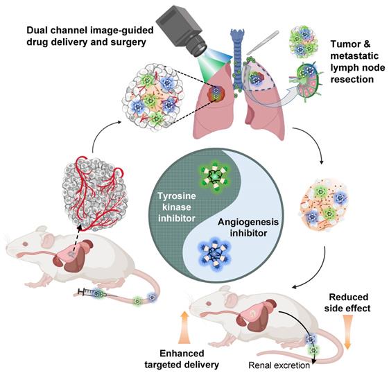 Theranostics Image