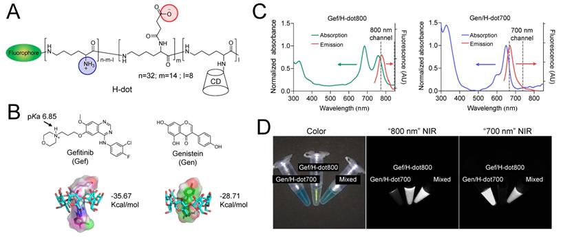 Theranostics Image