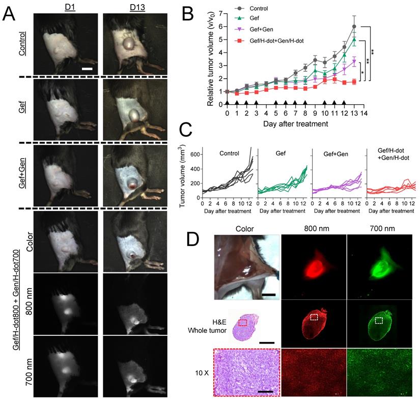 Theranostics Image