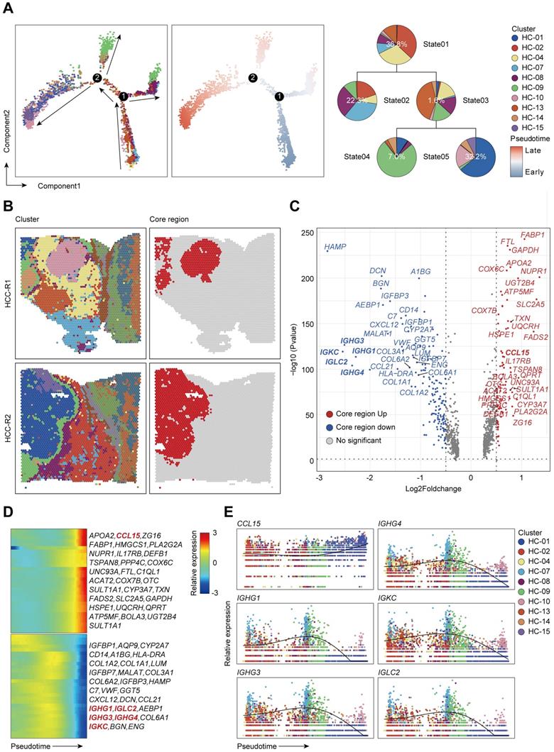 Theranostics Image