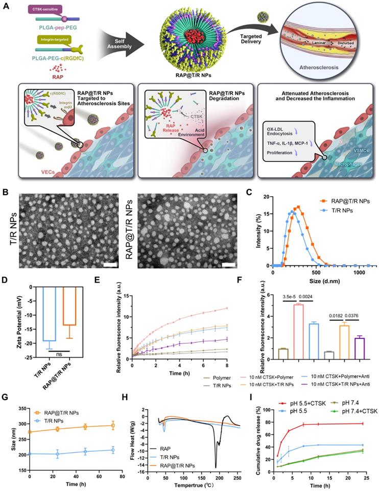 Theranostics Image