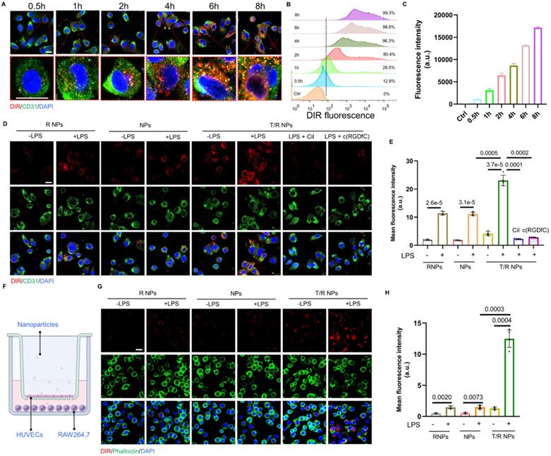 Theranostics Image