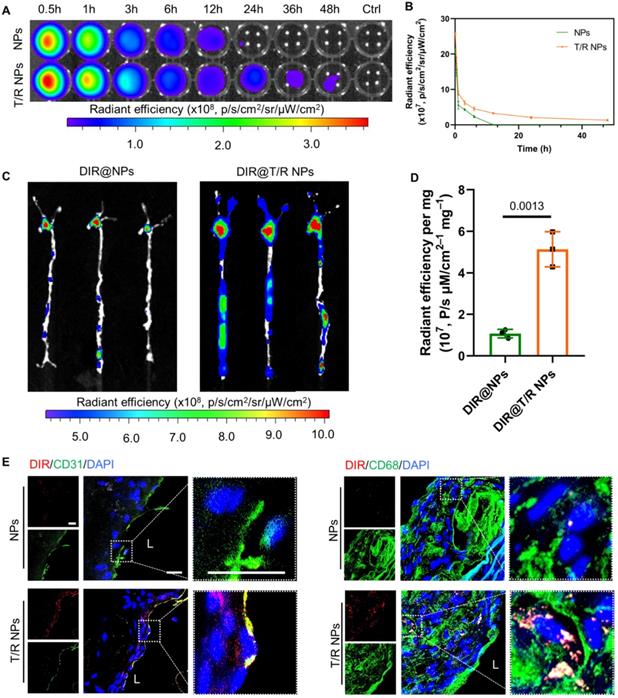 Theranostics Image