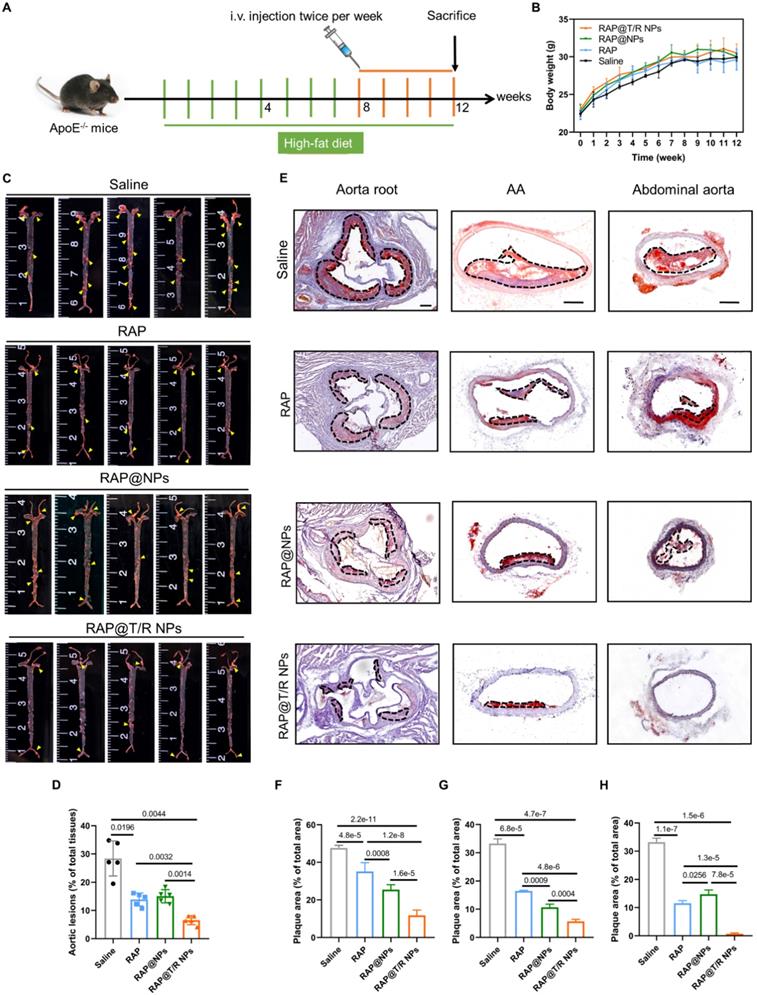 Theranostics Image