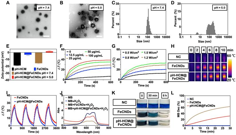 Theranostics Image