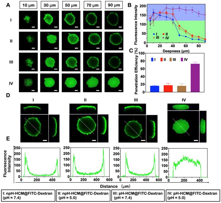 Theranostics Image