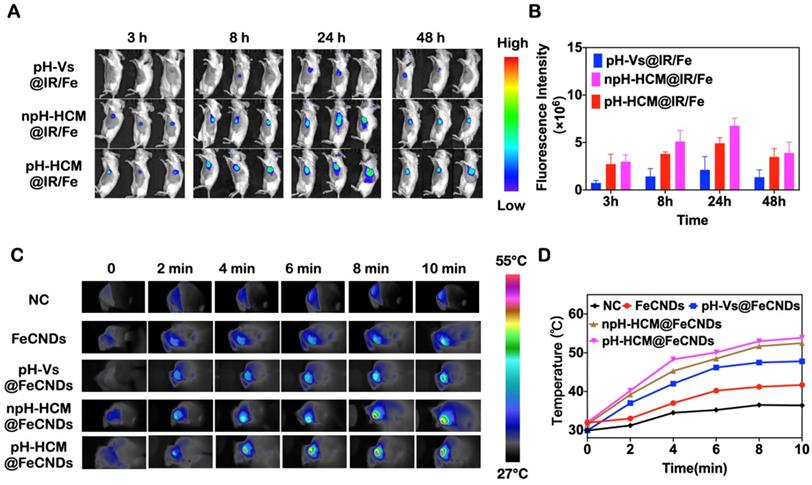 Theranostics Image