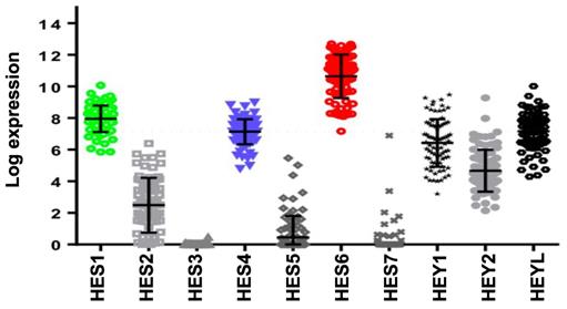 Theranostics Image