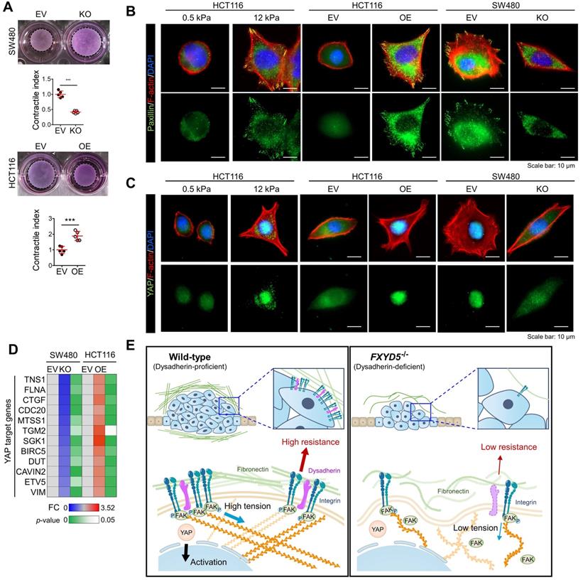 Theranostics Image