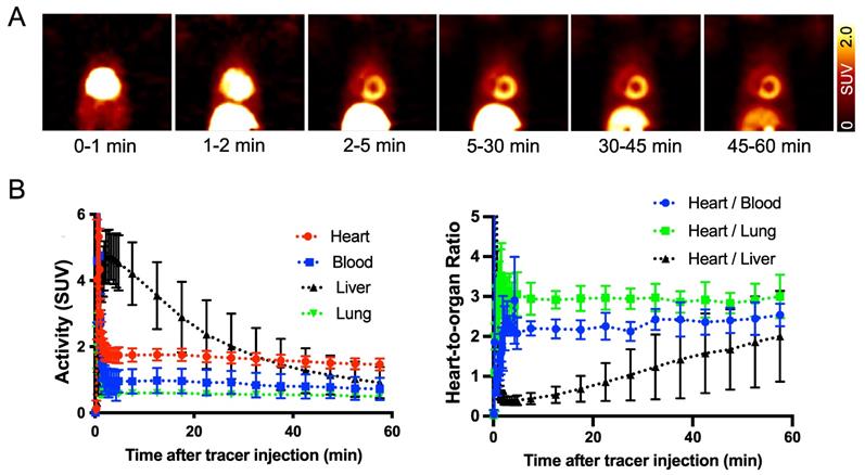 Theranostics Image