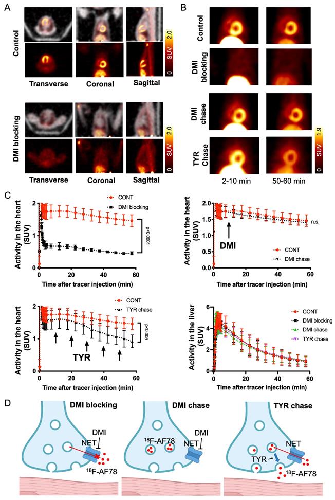 Theranostics Image