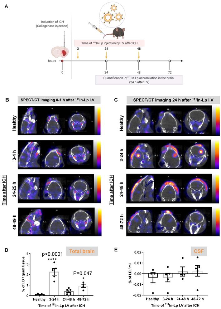 Theranostics Image