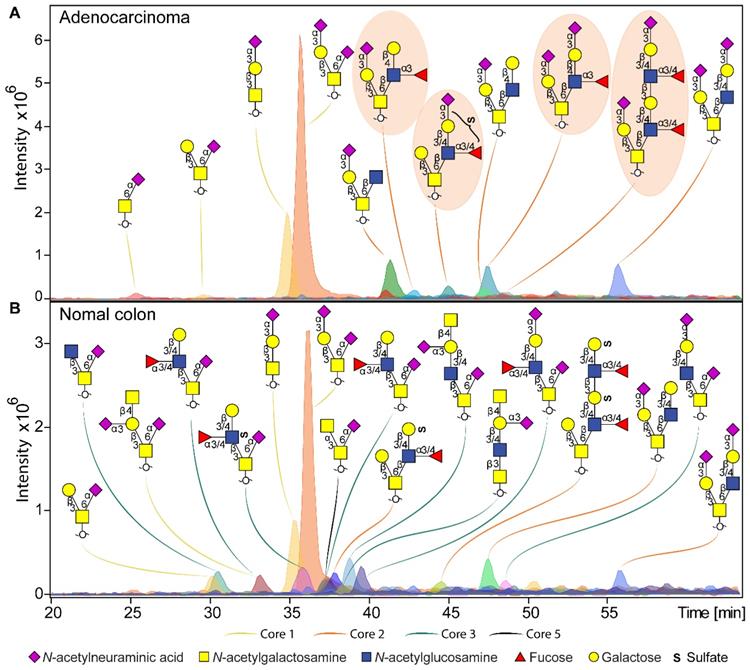 Theranostics Image