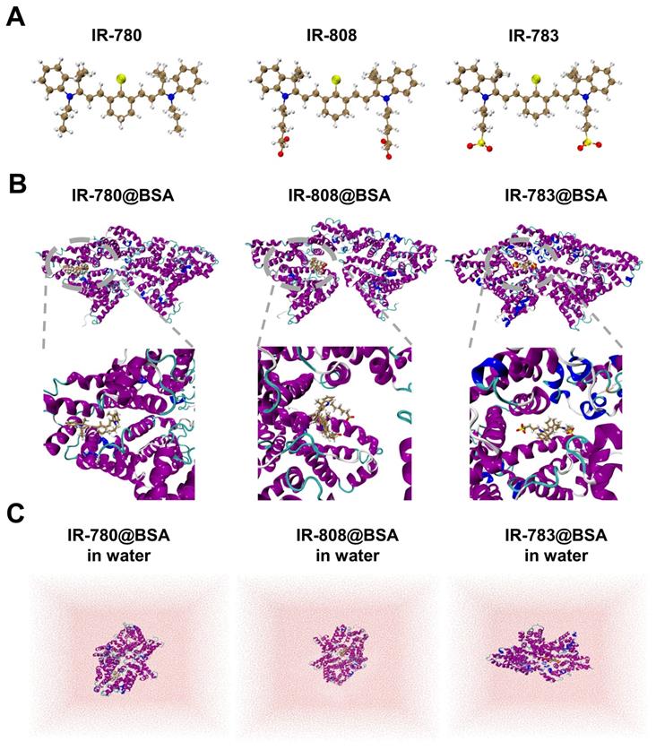 Theranostics Image