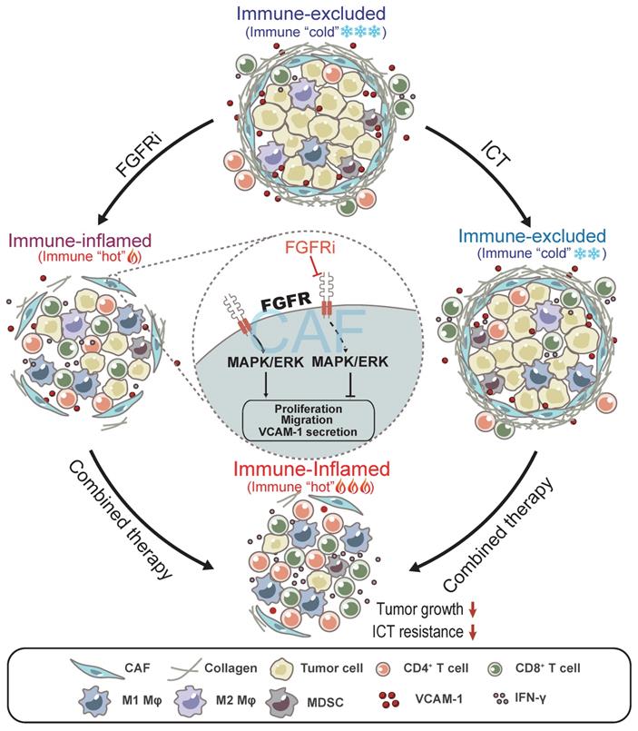 Theranostics Image