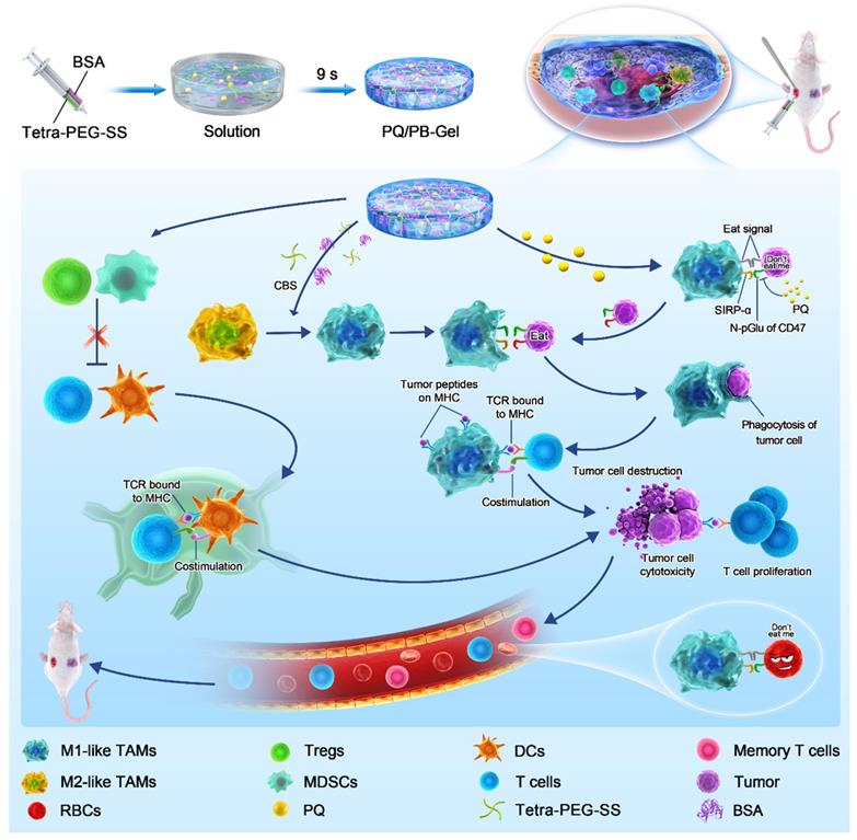 Theranostics Image