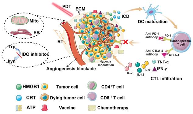 Theranostics Image