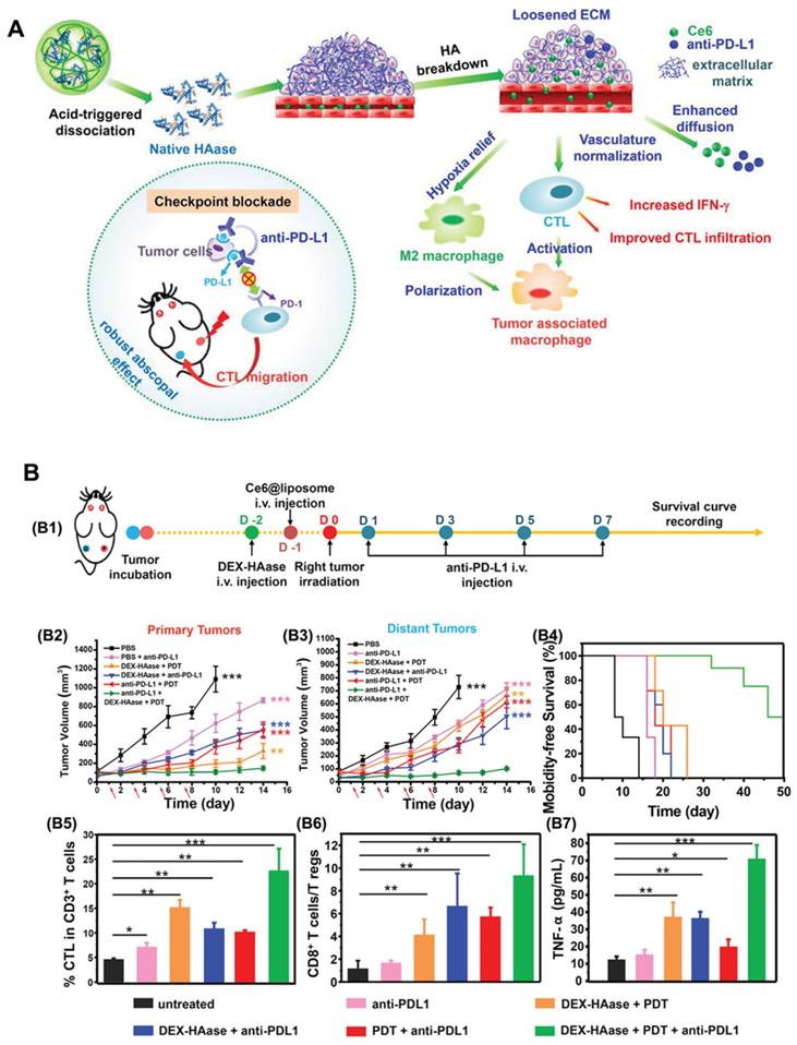 Theranostics Image