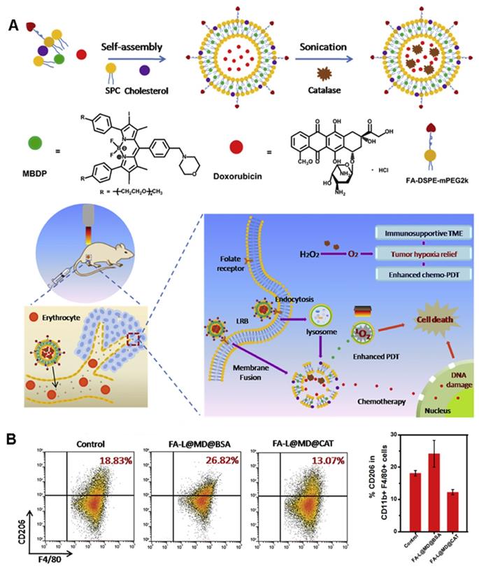 Theranostics Image