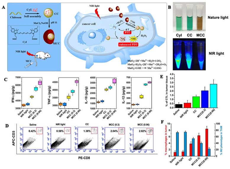 Theranostics Image