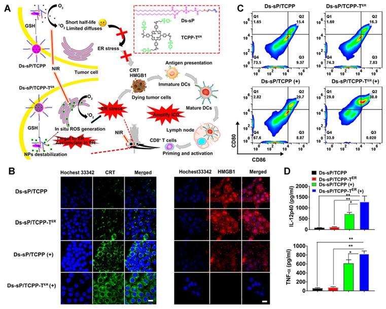 Theranostics Image