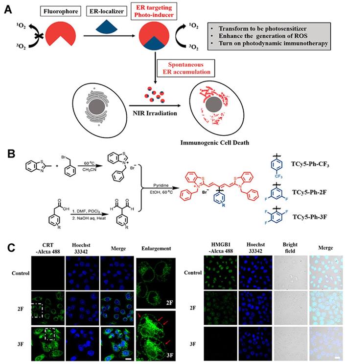 Theranostics Image