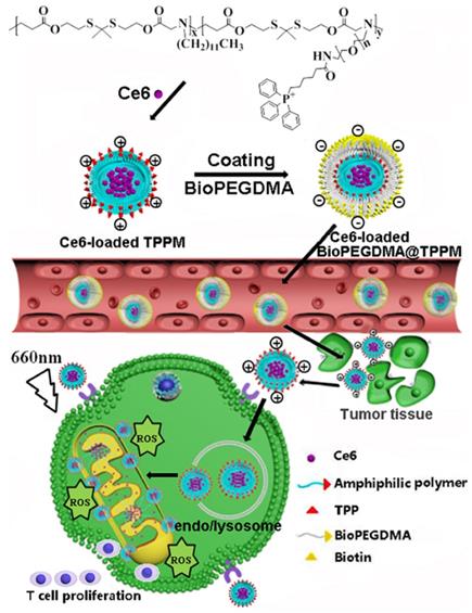 Theranostics Image