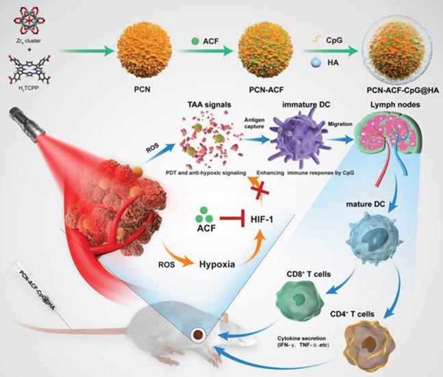 Theranostics Image