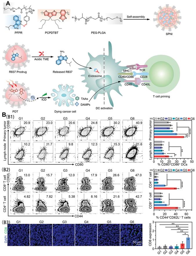 Theranostics Image