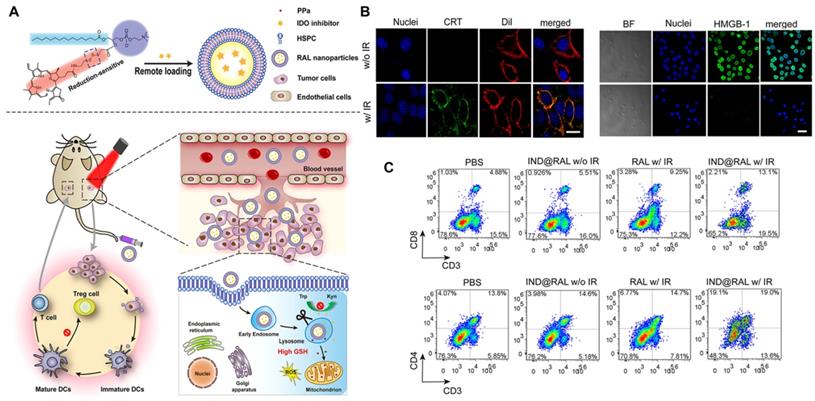 Theranostics Image