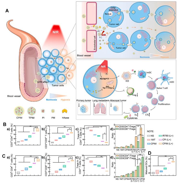 Theranostics Image