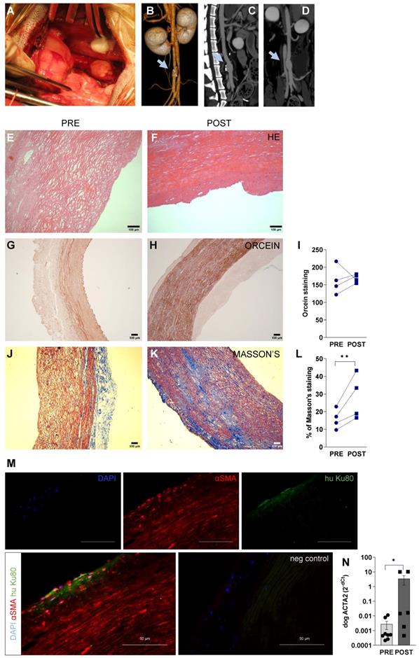 Theranostics Image