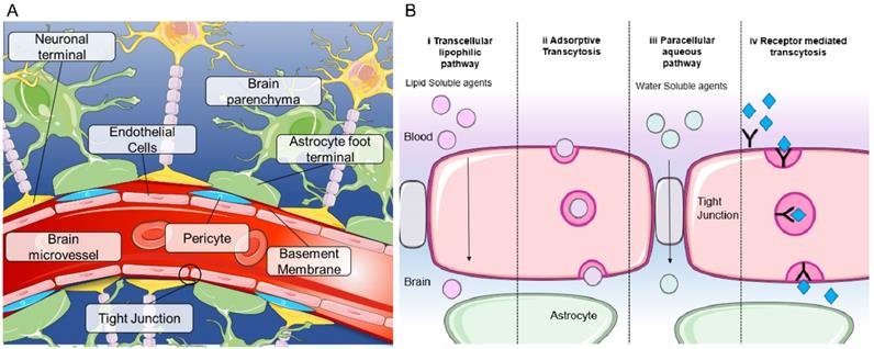 Theranostics Image