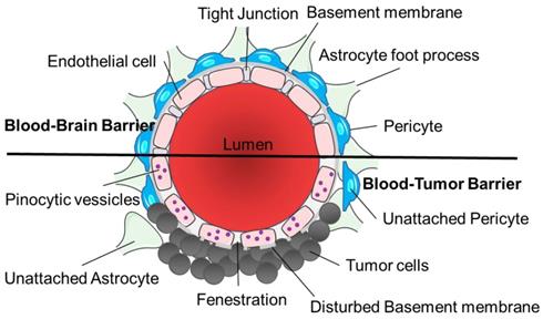 Theranostics Image