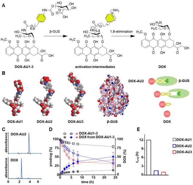 Theranostics Image