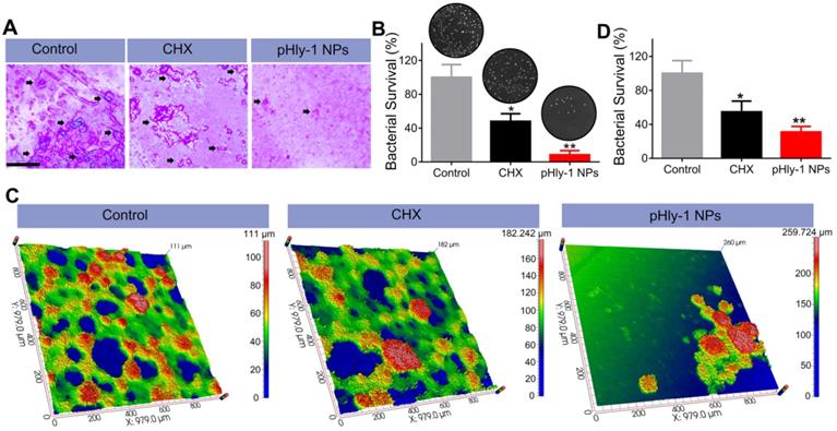 Theranostics Image