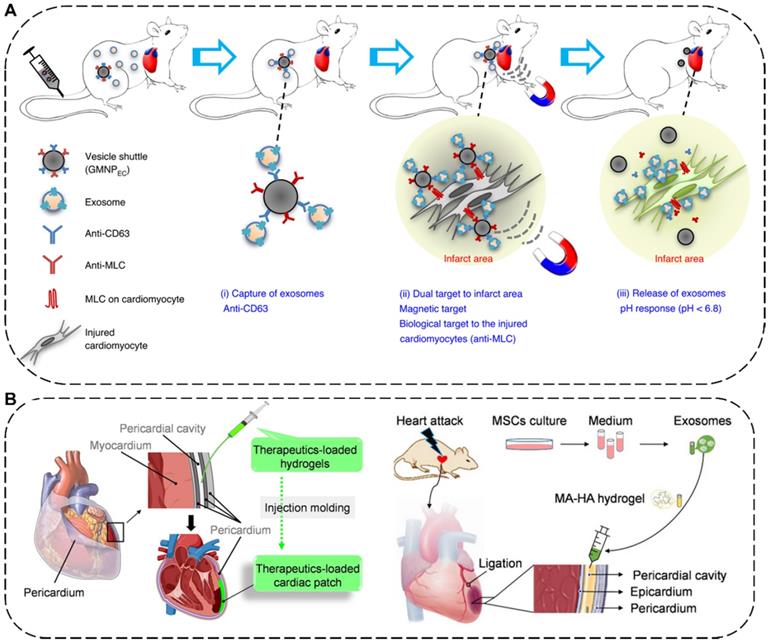 Theranostics Image