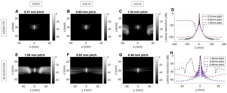 Theranostics Image