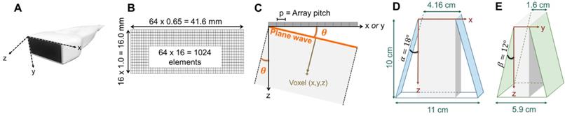 Theranostics Image