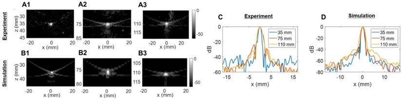 Theranostics Image